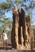 Giant termite mounds, Litchfield NP