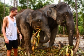 AMAZING day, Elephant Jungle Sanctuary, Chiang Mai