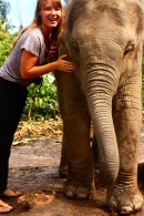 Gros baby! Elephant Jungle Sanctuary, Chiang Mai
